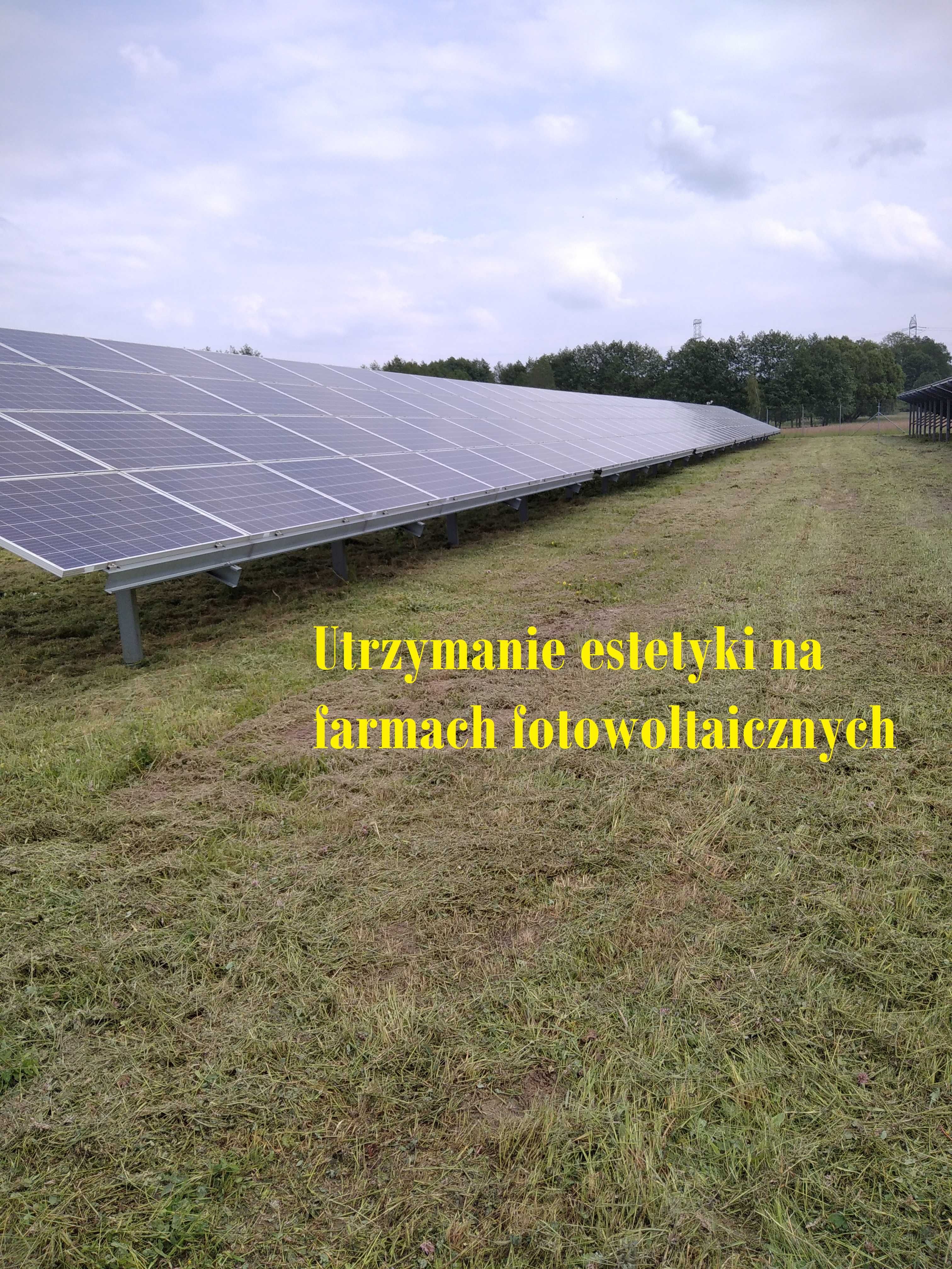Koszenie farm fotowoltaicznych -- dokasznie pasów rogowych