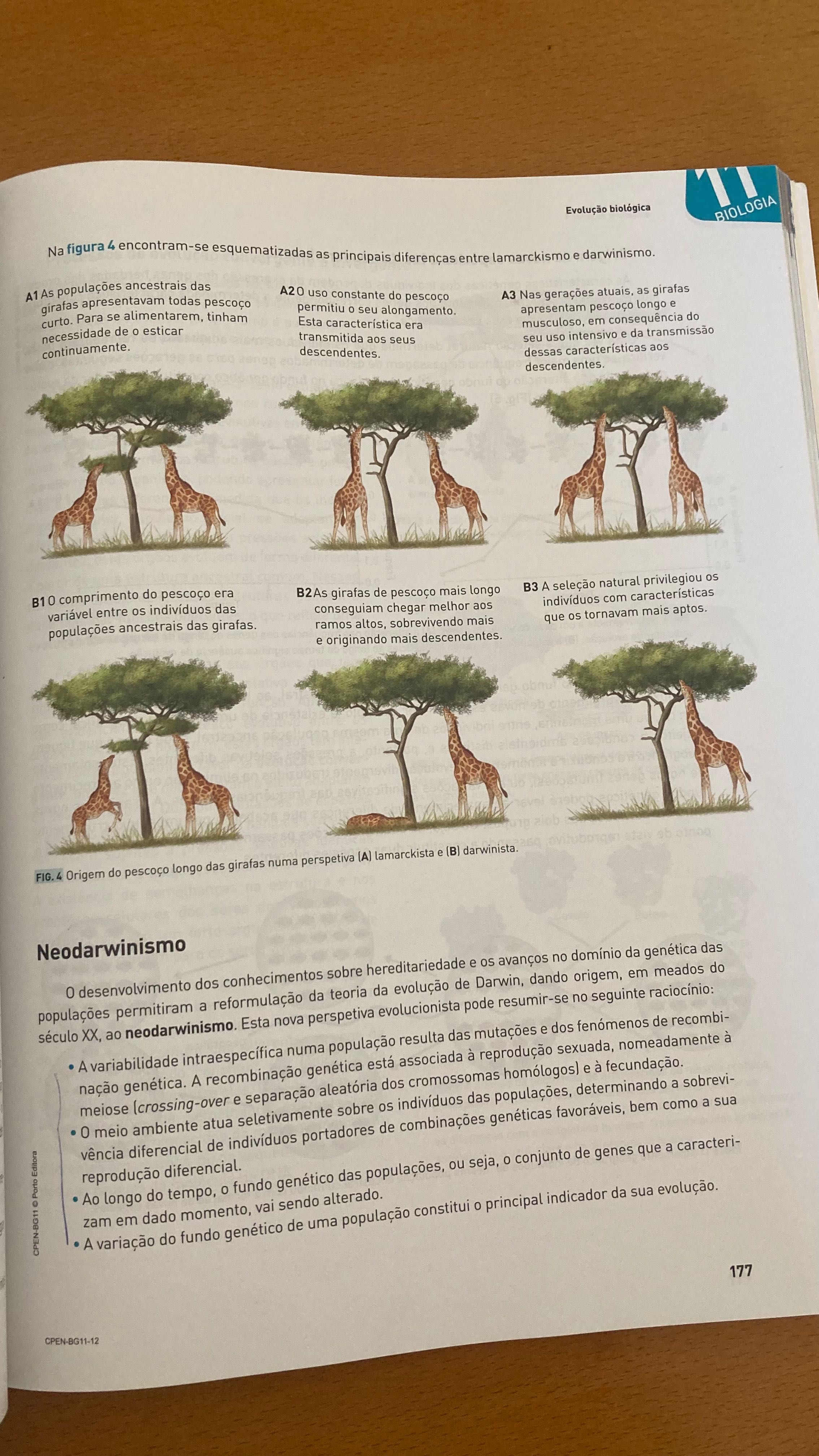 Livro de preparação para o exame nacional Biologia e Geologia