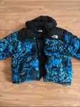 Kurtka The North Face