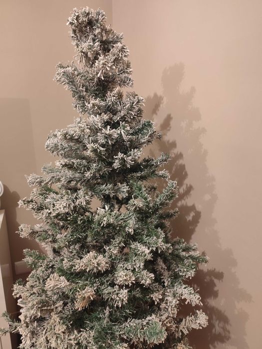 Árvore de natal com neve