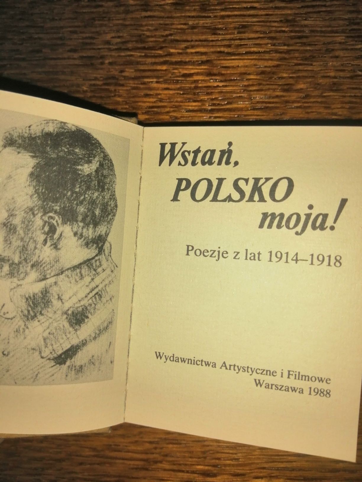 Wstań Polsko moja - Poezje z lat 1914 - 1918