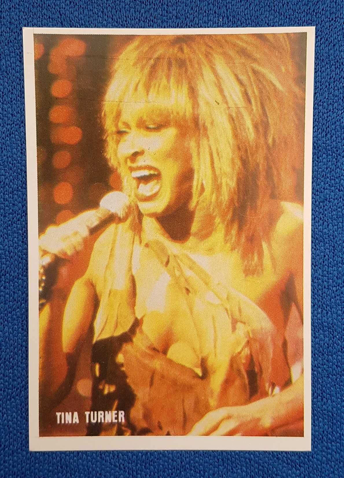 Calendário de bolso Tina Turner