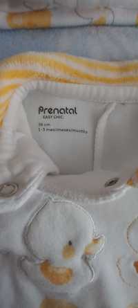 Babygrow Prénatal 1 - 3 meses