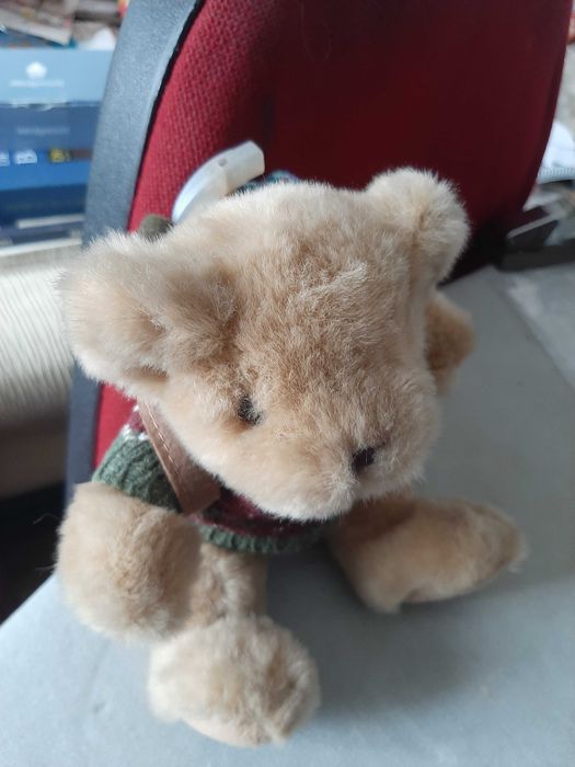 Urso de peluche Alpinista (teddy bear collection)