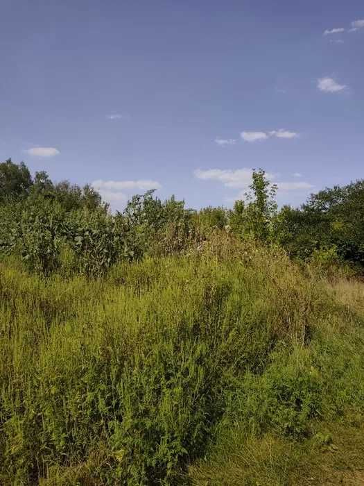 D1C Продам участок Большая Даниловка