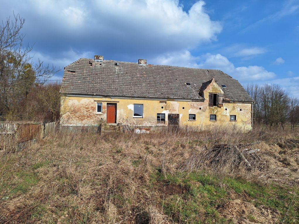 Dom z dużą działką 0,5hektara