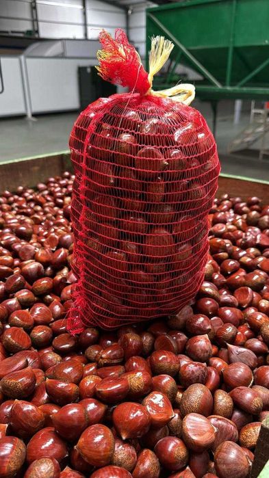 Serviço  Castanhas assadas