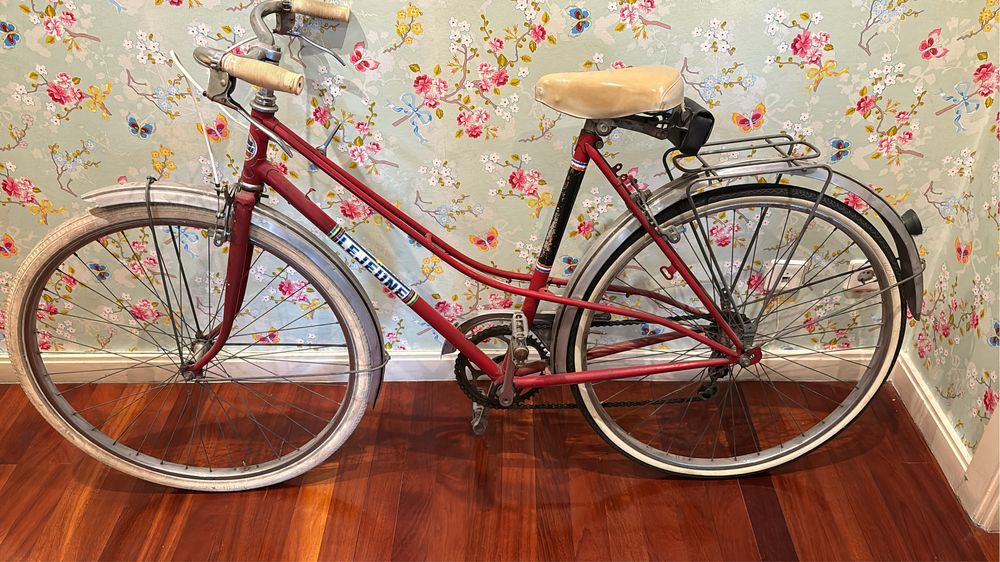 Bicicleta pasteleira vintage