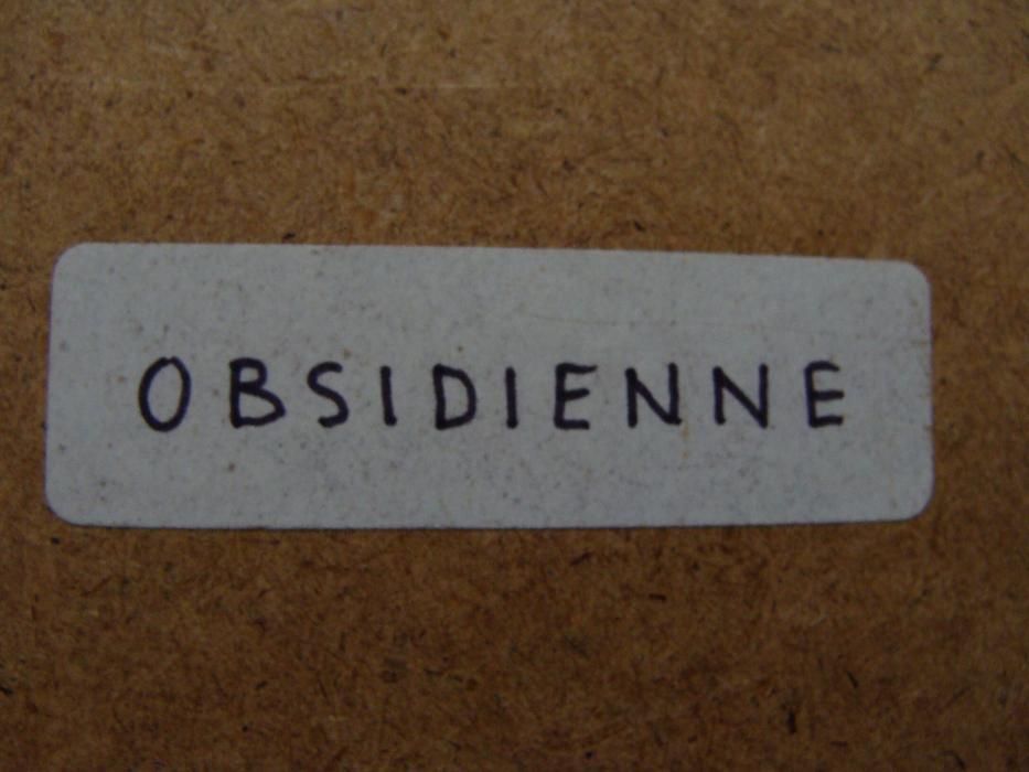 Ellis Zbinden ur1921-zm2019 obraz portret,OBSIDIENNE oryginal obsidian