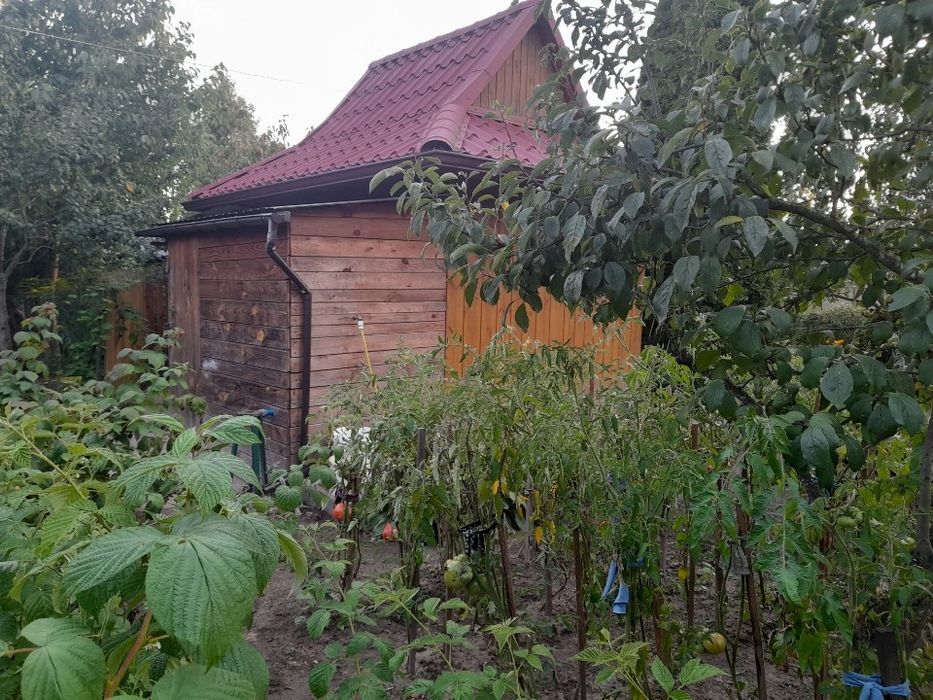 Działka ROD Szarotka