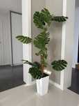 Sztuczna Duża Monstera Wysoka Jakość Drzewko + Doniczka 170cm LUBLIN