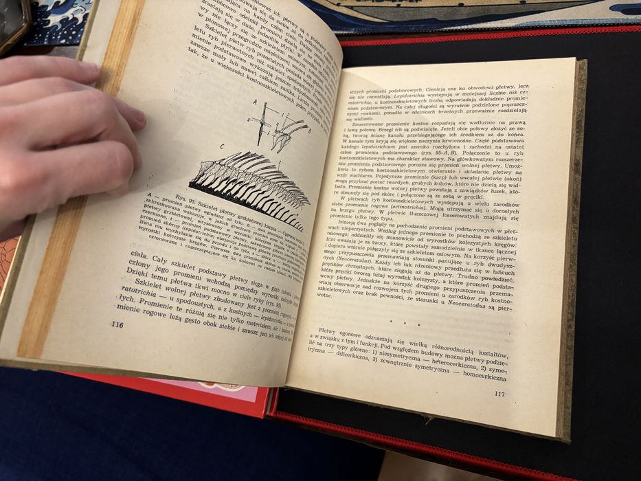 Ksiazki swiat pod mikroskopem anatomia toslin i inne