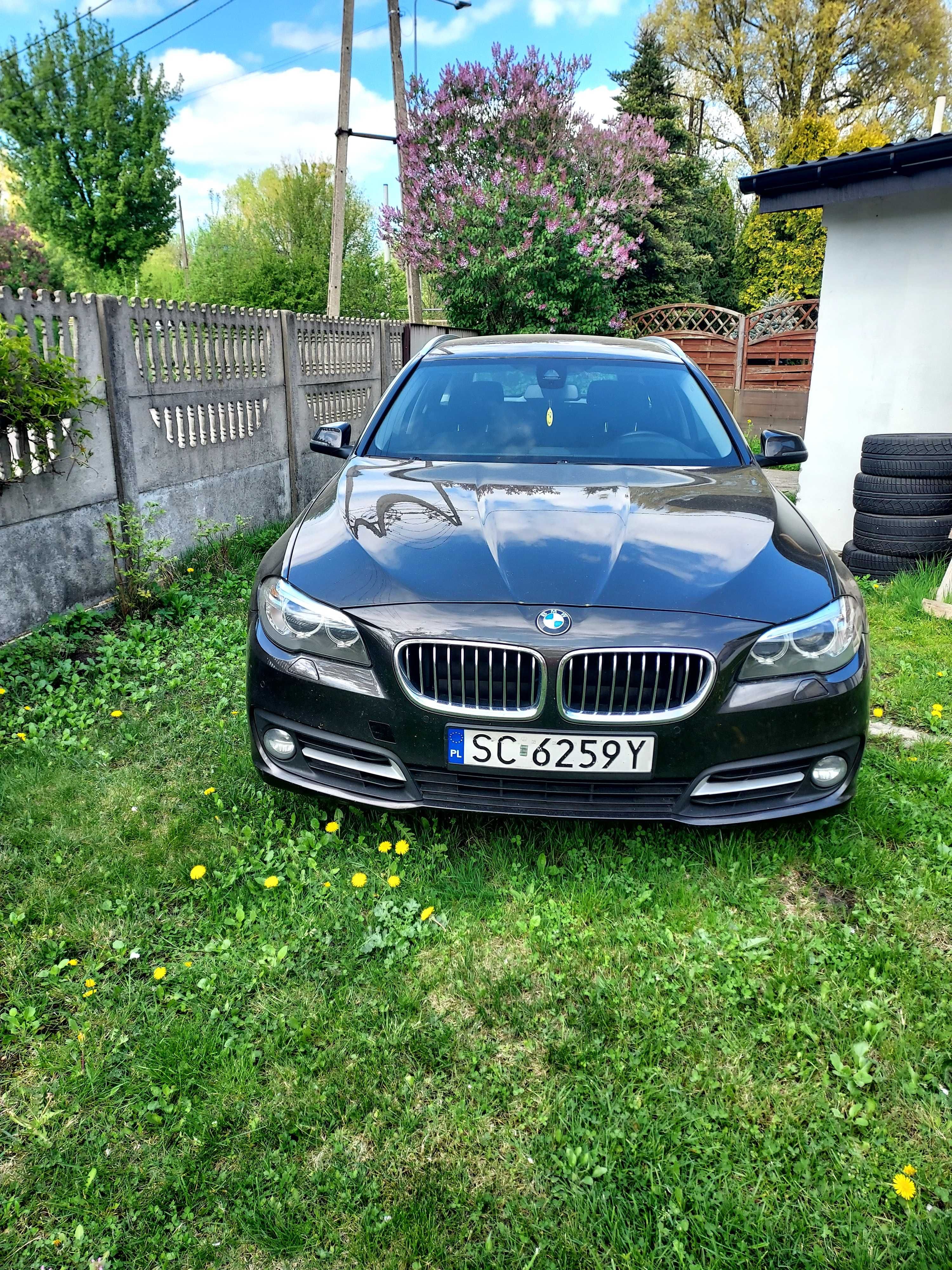 BMW520d kombi f11