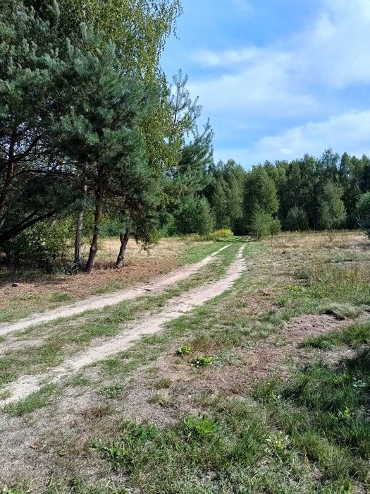 Działki budowlane w Tuszynie