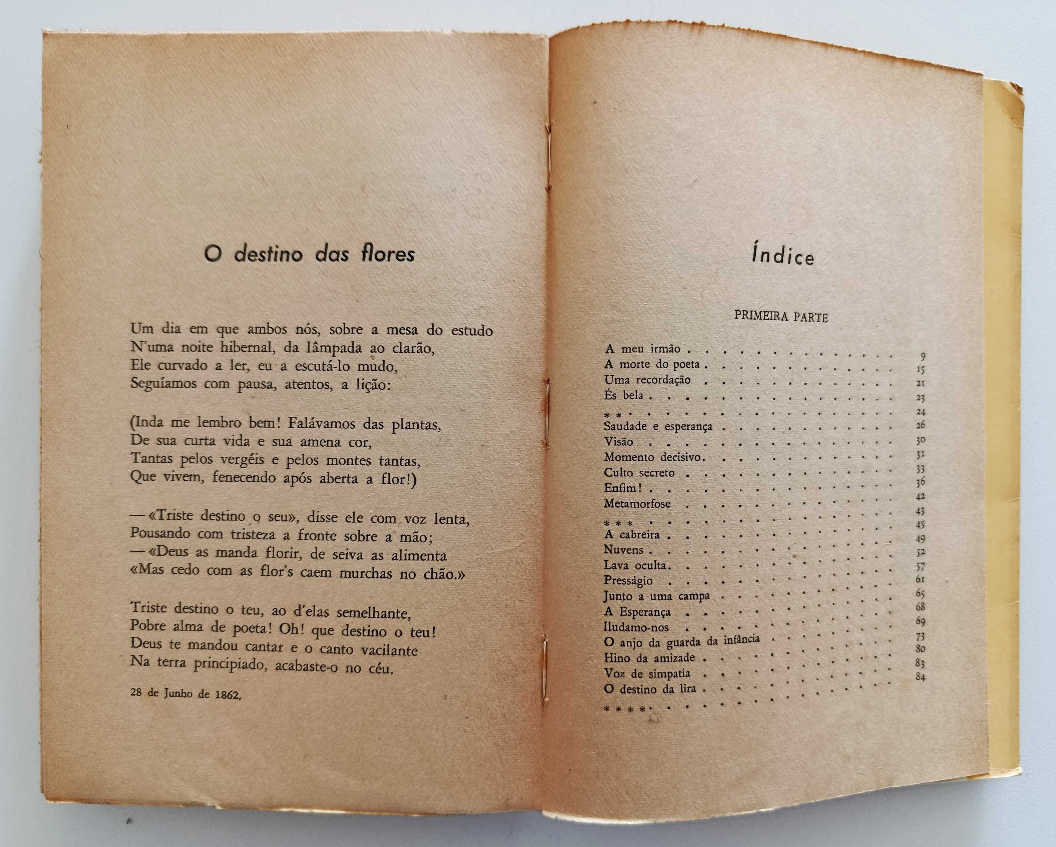 Júlio Dinis | Poesias (90 poemas do autor)