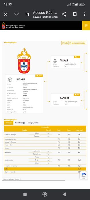 Égua PSLde nome "Ritinha"