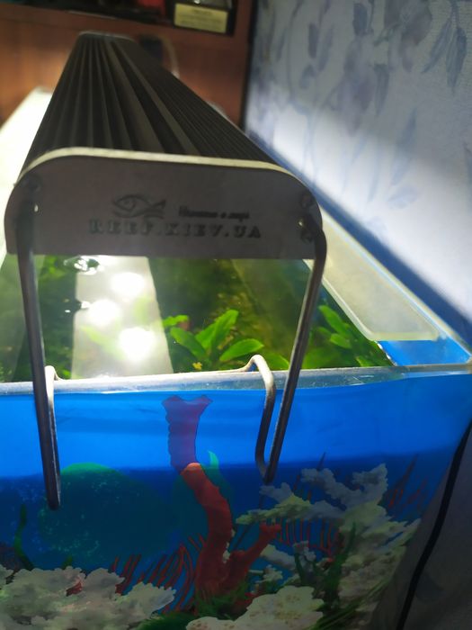 Аквариум со светильником и компрессором