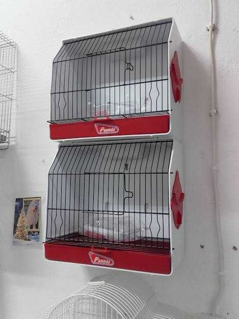 NOVA - Gaiola Exposição Pássaros PEDRÓS, gaiola individual