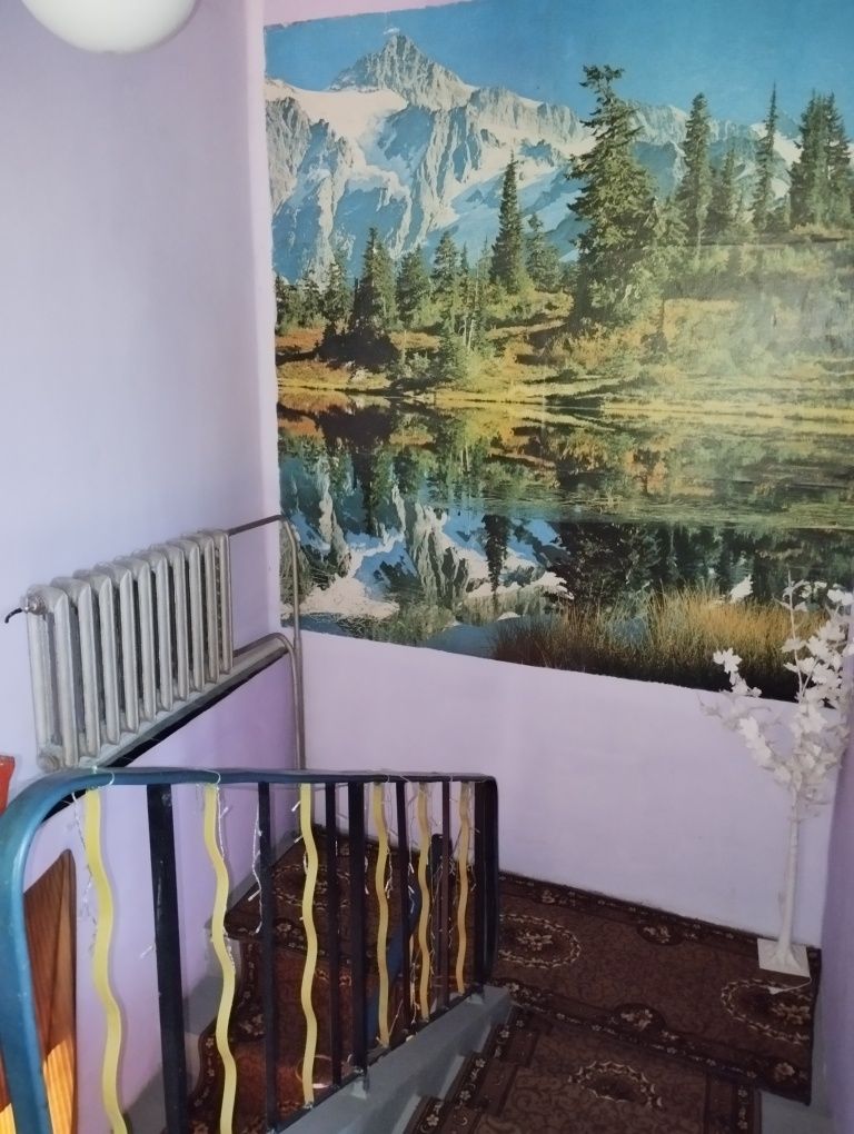 Продам дом Закарпатье Боржава