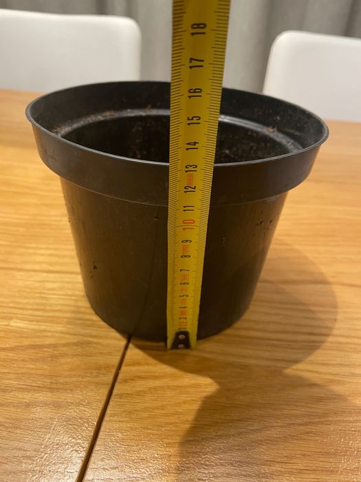 Doniczki do szkółki po tujach - 120 sztuk