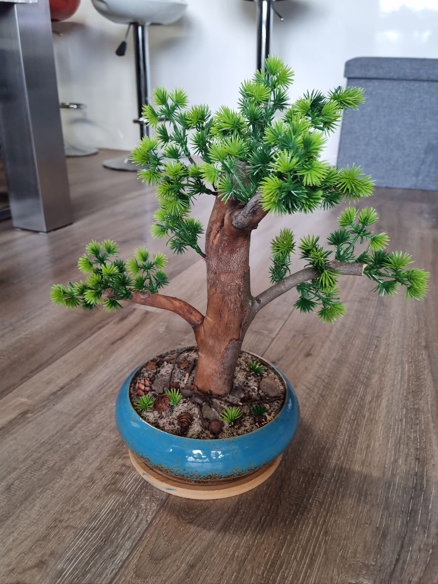 Drzewko   bonsai