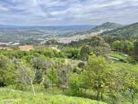 Terreno em Vouzela e Paços de Vilharigues de 26750,00 m2