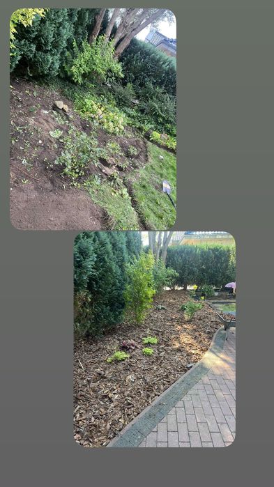 Usługi ogrodnicze !