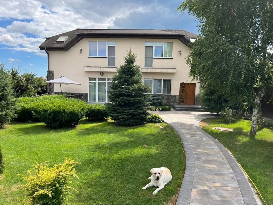 С.Велика Олександрівка ,Бориспільський р-н