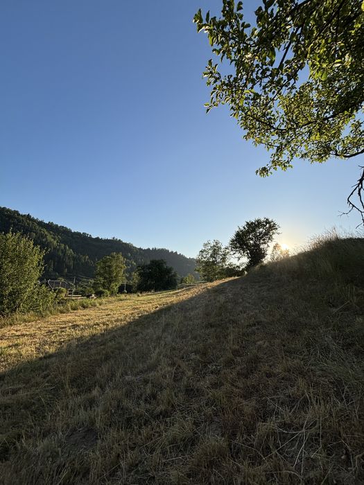 Земля в карпатах