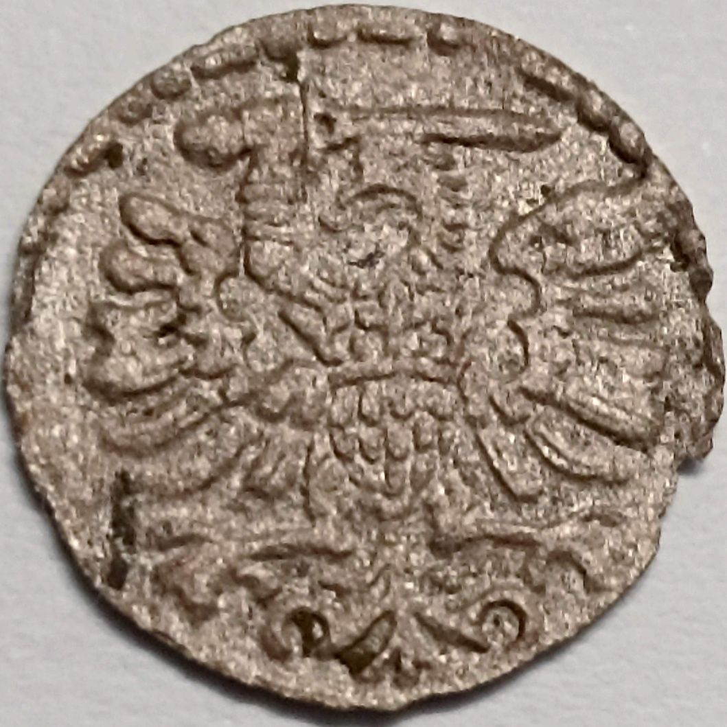 Denar 1594 Gdańsk