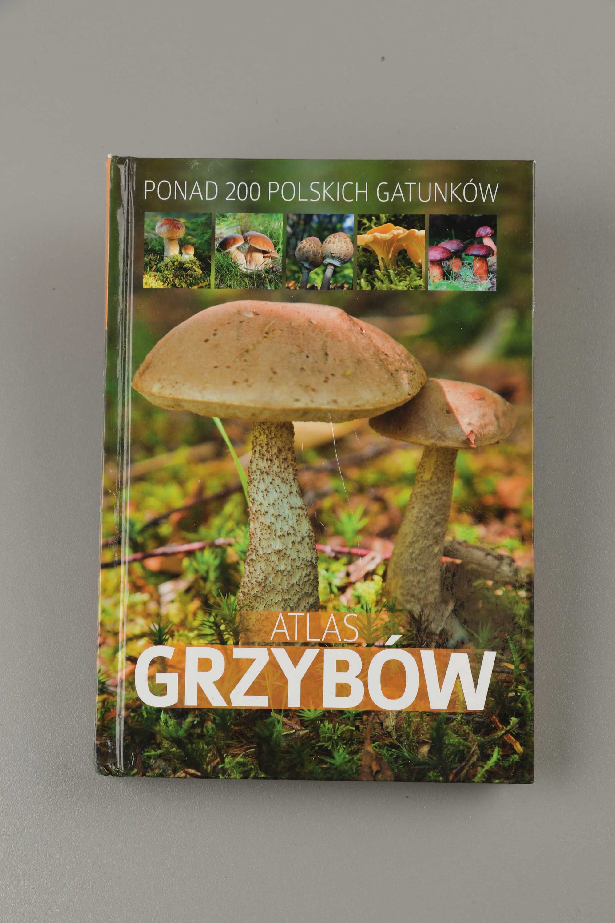 Atlas grzybów  Patrycja Zarawska