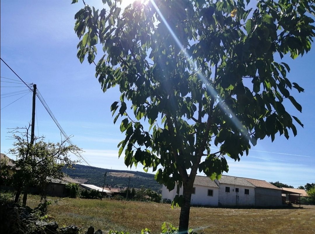 Terreno em Zava, Mogadouro