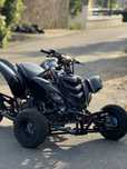 Yamaha Raptor 660 (700)