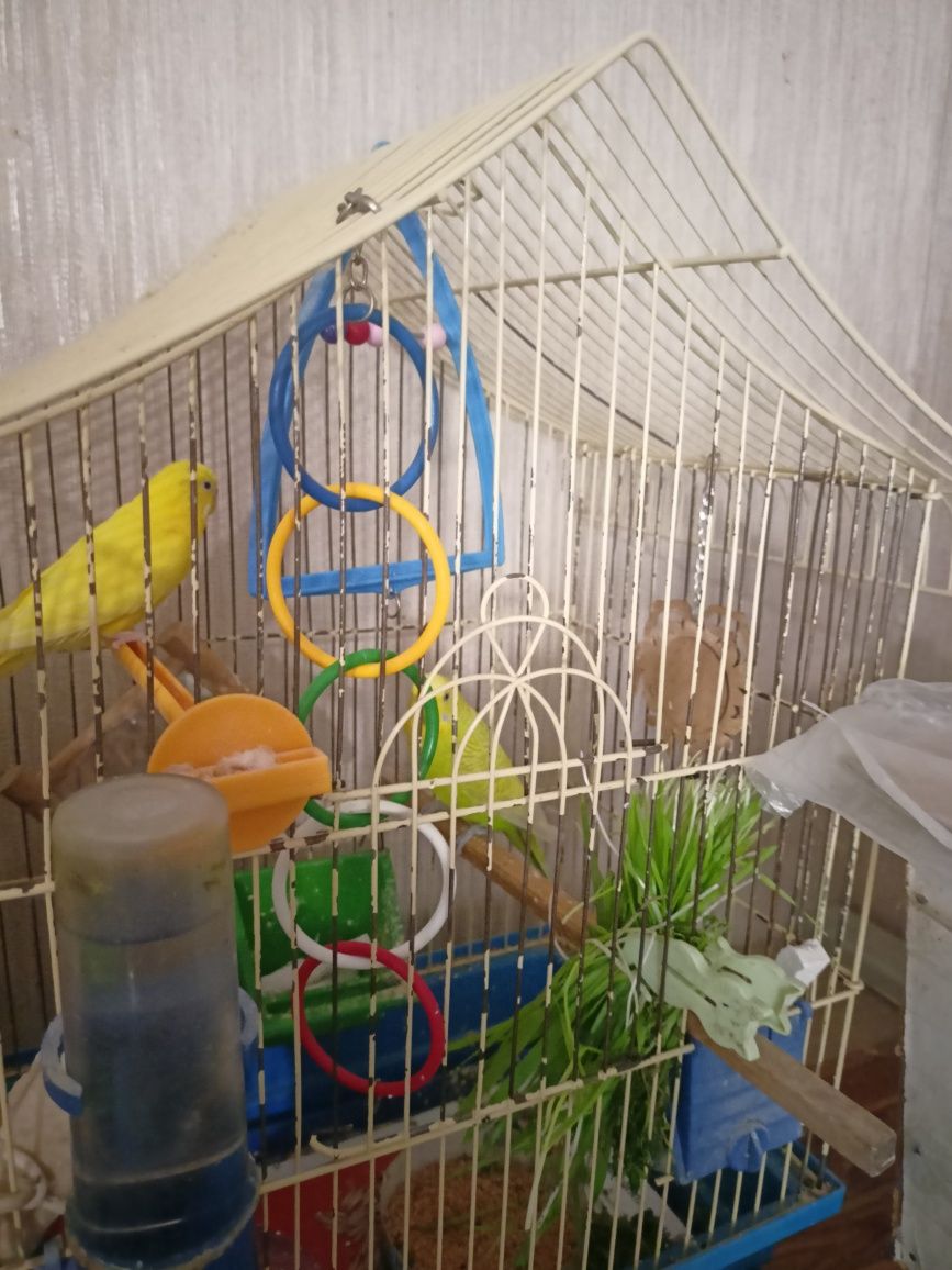 Продам клетку для попугаев