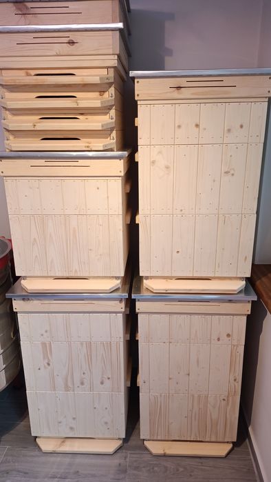 Ule wielkopolskie 10 ramek