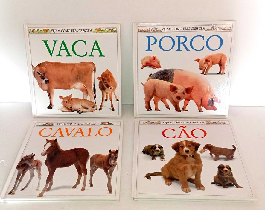 Coleção - Vejam como eles crescem (Mais nas restantes Fotografias)