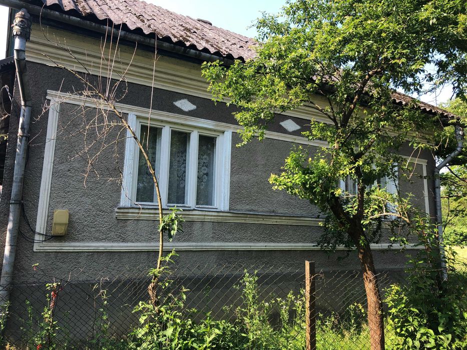 Будинк с. Бедевля з опаленням 273 кв.