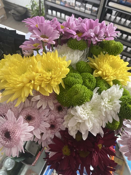 Хризантема ветка микс