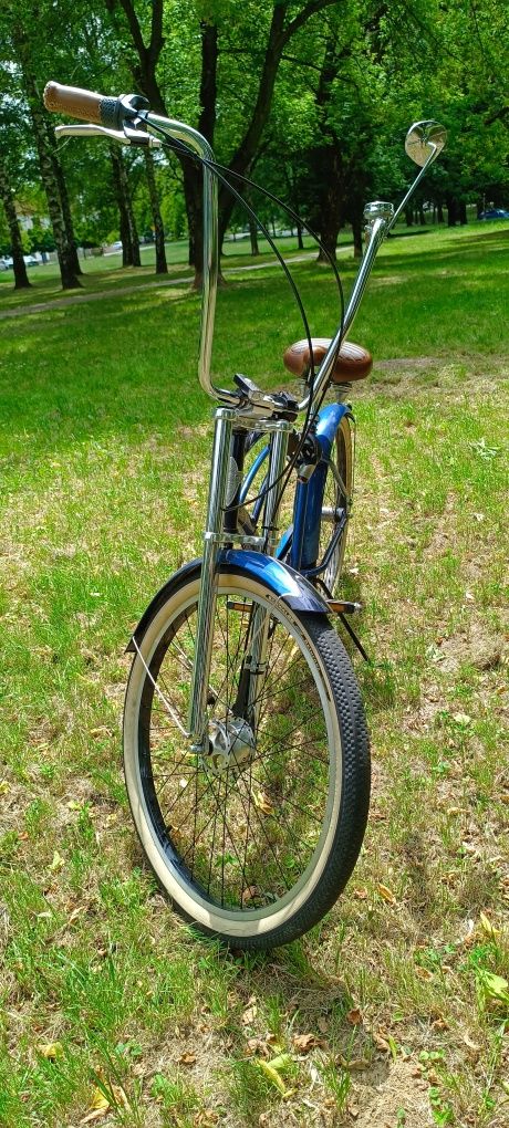 Electra Cruiser custom