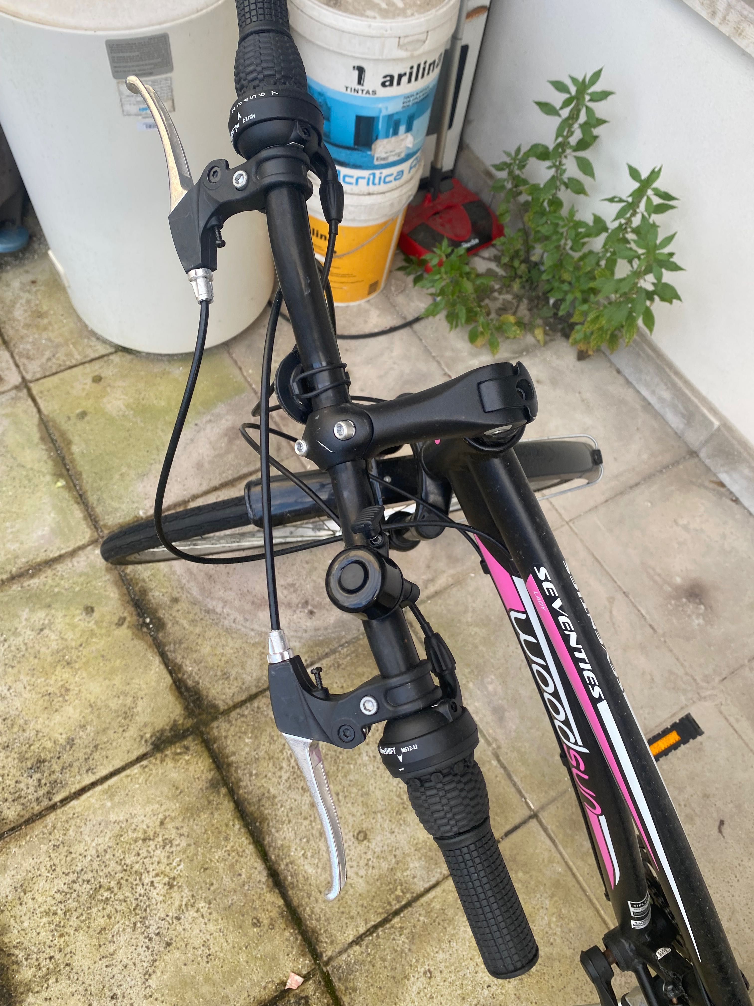 Bicicleta adulto