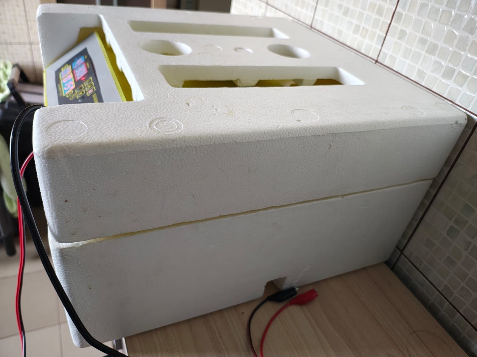 Inkubator obrotowy 56 jajek