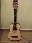 Guitarra Rocio C6n