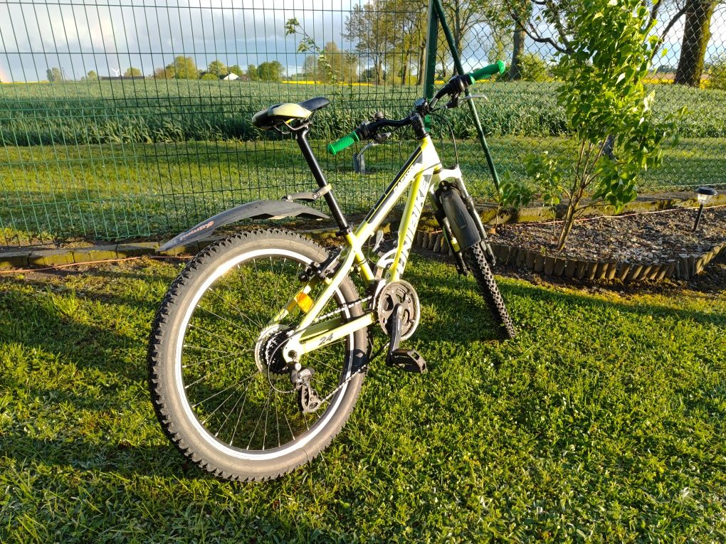 Unibike raptor 24