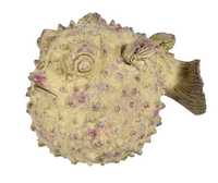 Ryba Lill Figurka dekoracyjna