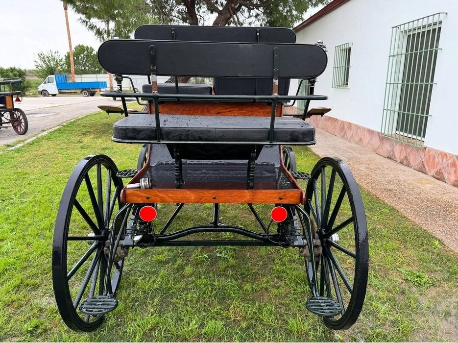 Vendo charrete spider