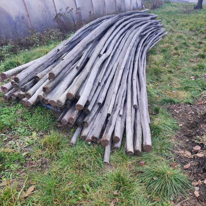 Tyczki sosnowe żerdzie