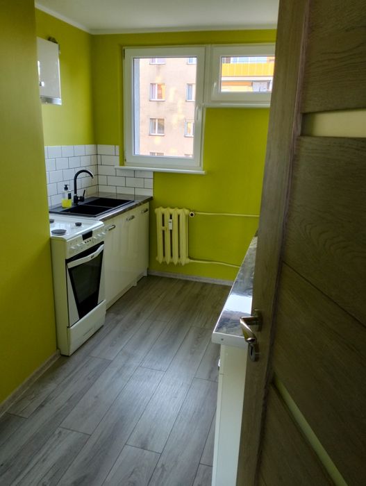 Mieszkanie do wynajęcia