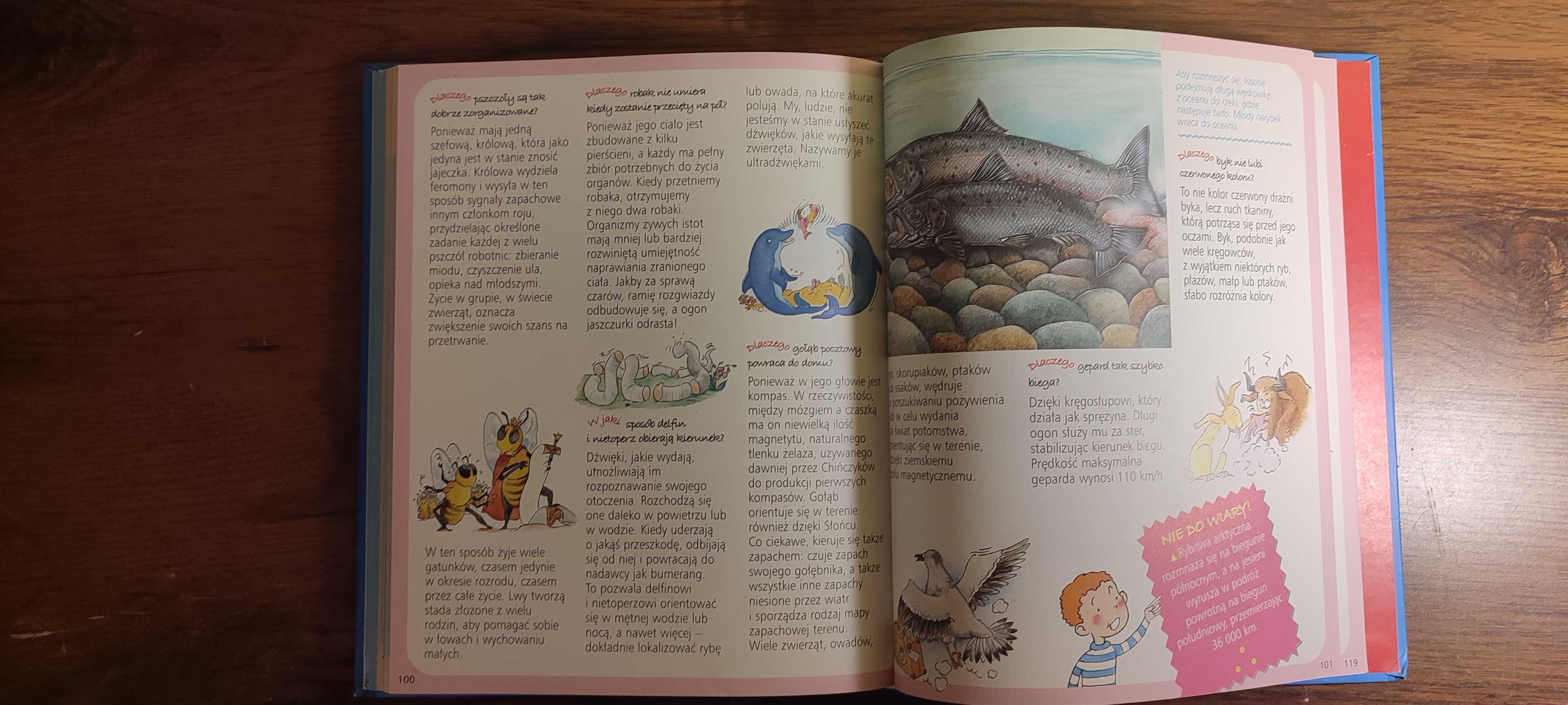Nauka. Obrazkowa encyklopedia dla dzieci