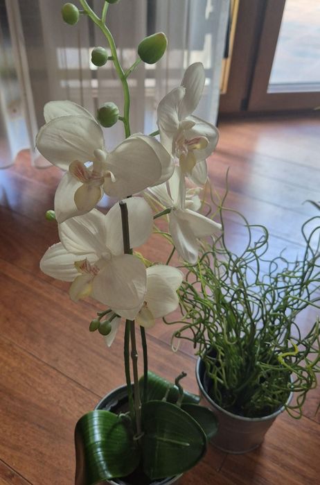 sztuczny kwiat kwiaty ozdobne trawa roślina Ikea doniczki