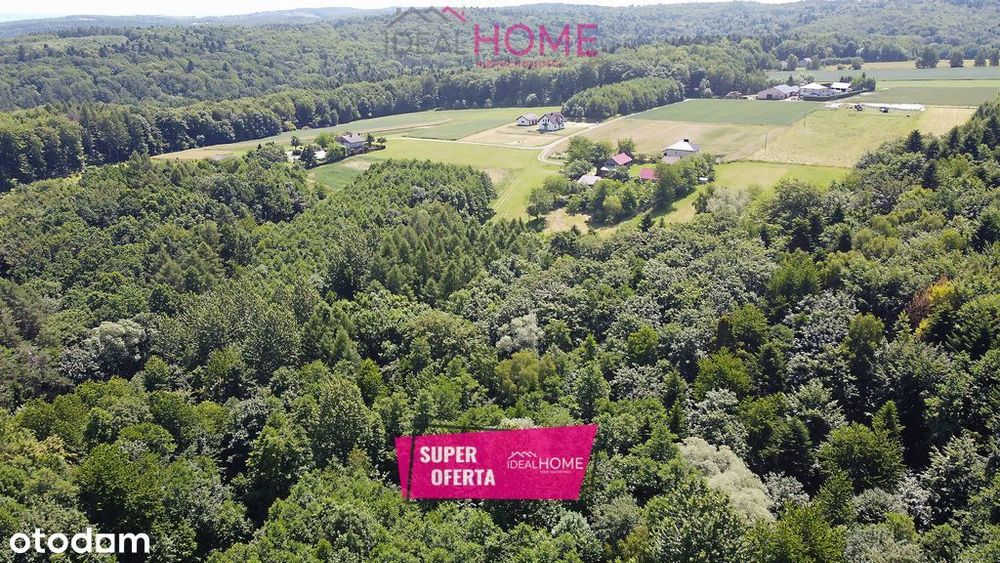 Działka Zalesiona- 56,46A